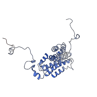 29740_8g5d_C_v1-0
Structure of ACLY-D1026A-products, local refinement of ASH domain