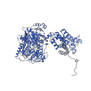 29740_8g5d_D_v1-0
Structure of ACLY-D1026A-products, local refinement of ASH domain