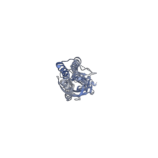 29741_8g5f_A_v1-2
Native GABA-A receptor from the mouse brain, ortho-alpha1-alpha3-beta2-gamma2 subtype, in complex with GABA and allopregnanolone