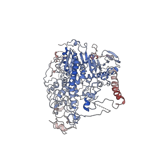 29745_8g5i_A_v1-0
Cryo-EM structure of the Mismatch Sensing Complex (I) of Human Mitochondrial DNA Polymerase Gamma
