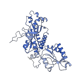29745_8g5i_B_v1-0
Cryo-EM structure of the Mismatch Sensing Complex (I) of Human Mitochondrial DNA Polymerase Gamma