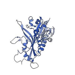 29745_8g5i_C_v1-0
Cryo-EM structure of the Mismatch Sensing Complex (I) of Human Mitochondrial DNA Polymerase Gamma