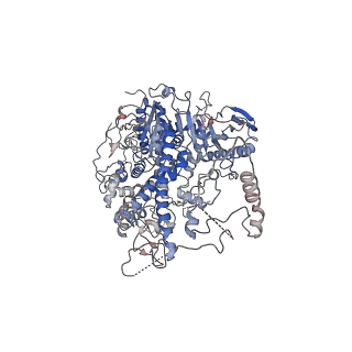 29746_8g5j_A_v1-0
Cryo-EM structure of the Mismatch Uncoupling Complex (II) of Human Mitochondrial DNA Polymerase Gamma
