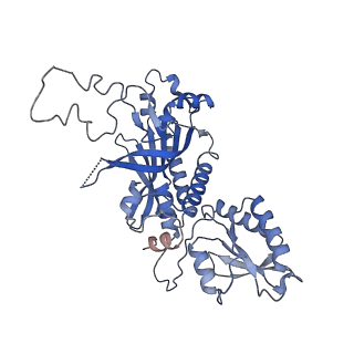 29746_8g5j_B_v1-0
Cryo-EM structure of the Mismatch Uncoupling Complex (II) of Human Mitochondrial DNA Polymerase Gamma