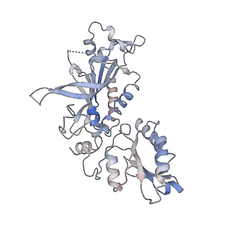29747_8g5k_B_v1-0
Cryo-EM structure of the Wedge Alignment Complex (VIII) of Human Mitochondrial DNA Polymerase Gamma