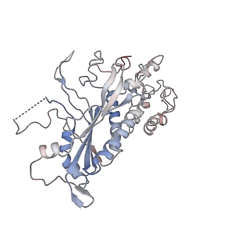 29747_8g5k_C_v1-0
Cryo-EM structure of the Wedge Alignment Complex (VIII) of Human Mitochondrial DNA Polymerase Gamma