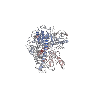29748_8g5l_A_v1-0
Cryo-EM structure of the Primer Separation Complex (IX) of Human Mitochondrial DNA Polymerase Gamma