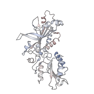 29748_8g5l_B_v1-0
Cryo-EM structure of the Primer Separation Complex (IX) of Human Mitochondrial DNA Polymerase Gamma