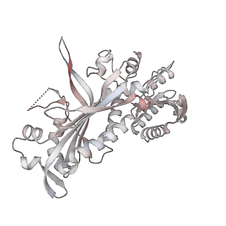 29748_8g5l_C_v1-0
Cryo-EM structure of the Primer Separation Complex (IX) of Human Mitochondrial DNA Polymerase Gamma