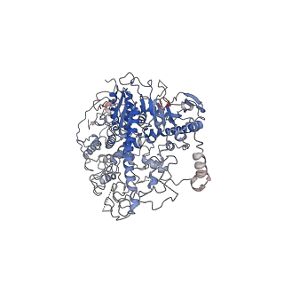 29749_8g5m_A_v1-0
Cryo-EM structure of the Mismatch Locking Complex (III) of Human Mitochondrial DNA Polymerase Gamma