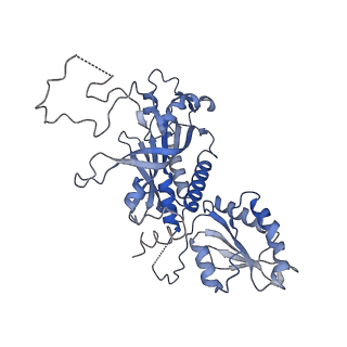 29749_8g5m_B_v1-0
Cryo-EM structure of the Mismatch Locking Complex (III) of Human Mitochondrial DNA Polymerase Gamma