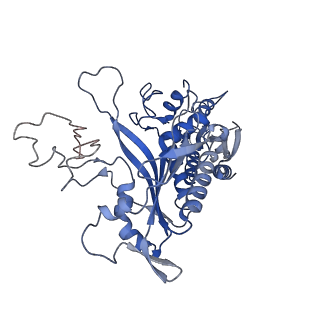29749_8g5m_C_v1-0
Cryo-EM structure of the Mismatch Locking Complex (III) of Human Mitochondrial DNA Polymerase Gamma