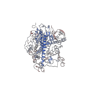 29750_8g5n_A_v1-0
Cryo-EM structure of the Guide loop Engagement Complex (VI) of Human Mitochondrial DNA Polymerase Gamma