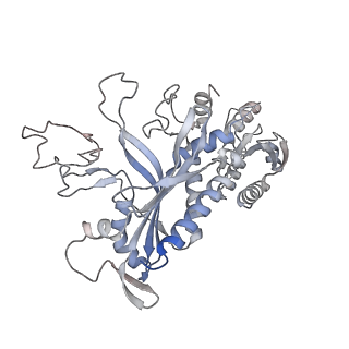 29750_8g5n_C_v1-0
Cryo-EM structure of the Guide loop Engagement Complex (VI) of Human Mitochondrial DNA Polymerase Gamma