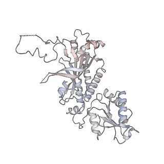29751_8g5o_B_v1-0
Cryo-EM structure of the Guide loop Engagement Complex (IV) of Human Mitochondrial DNA Polymerase Gamma