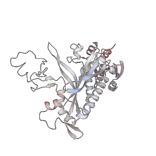 29751_8g5o_C_v1-0
Cryo-EM structure of the Guide loop Engagement Complex (IV) of Human Mitochondrial DNA Polymerase Gamma