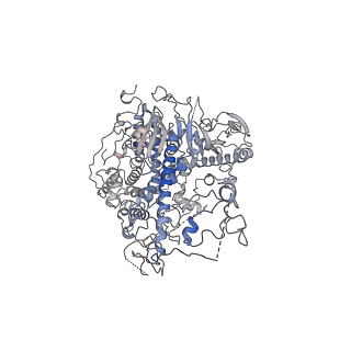 29752_8g5p_A_v1-0
Cryo-EM structure of the Guide loop Engagement Complex (V) of Human Mitochondrial DNA Polymerase Gamma