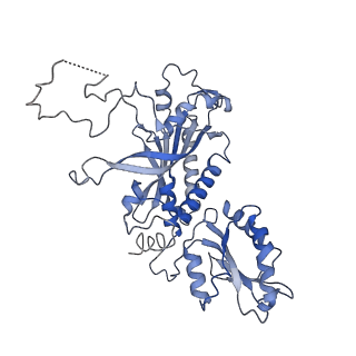 29752_8g5p_B_v1-0
Cryo-EM structure of the Guide loop Engagement Complex (V) of Human Mitochondrial DNA Polymerase Gamma