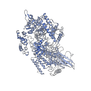 3439_5g5l_A_v1-3
RNA polymerase I-Rrn3 complex at 4.8 A resolution