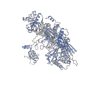 3439_5g5l_B_v1-3
RNA polymerase I-Rrn3 complex at 4.8 A resolution