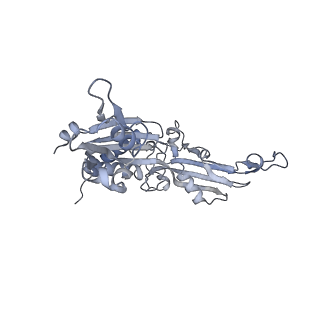 3439_5g5l_C_v1-3
RNA polymerase I-Rrn3 complex at 4.8 A resolution