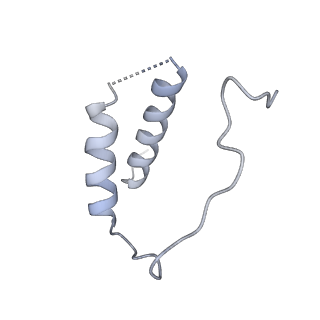 3439_5g5l_D_v1-3
RNA polymerase I-Rrn3 complex at 4.8 A resolution