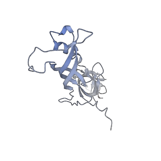 3439_5g5l_G_v1-3
RNA polymerase I-Rrn3 complex at 4.8 A resolution