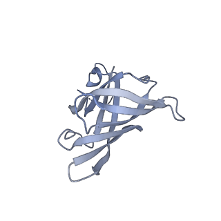 3439_5g5l_H_v1-3
RNA polymerase I-Rrn3 complex at 4.8 A resolution