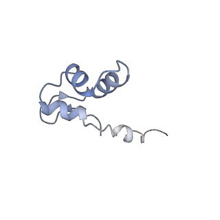 3439_5g5l_J_v1-3
RNA polymerase I-Rrn3 complex at 4.8 A resolution