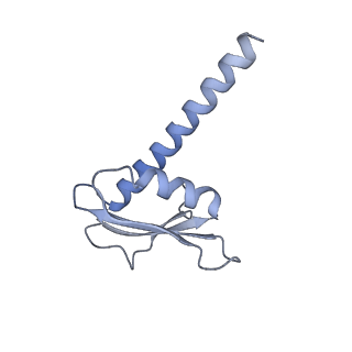 3439_5g5l_K_v1-3
RNA polymerase I-Rrn3 complex at 4.8 A resolution