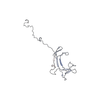 3439_5g5l_N_v1-3
RNA polymerase I-Rrn3 complex at 4.8 A resolution