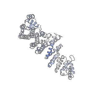 3439_5g5l_O_v1-3
RNA polymerase I-Rrn3 complex at 4.8 A resolution