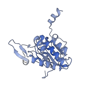 4350_6g51_A_v1-4
Cryo-EM structure of a late human pre-40S ribosomal subunit - State D