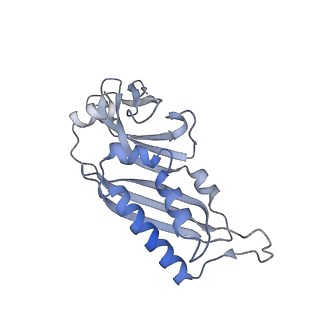 4350_6g51_B_v1-4
Cryo-EM structure of a late human pre-40S ribosomal subunit - State D