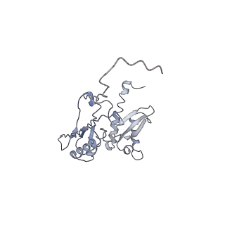 4350_6g51_D_v1-4
Cryo-EM structure of a late human pre-40S ribosomal subunit - State D
