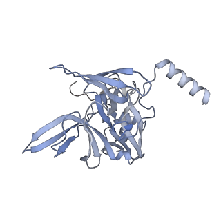 4350_6g51_E_v1-4
Cryo-EM structure of a late human pre-40S ribosomal subunit - State D