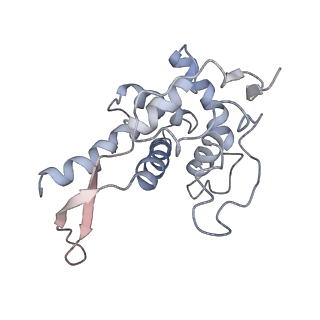 4350_6g51_F_v1-4
Cryo-EM structure of a late human pre-40S ribosomal subunit - State D