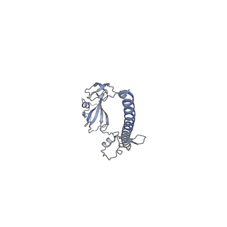 4350_6g51_G_v1-4
Cryo-EM structure of a late human pre-40S ribosomal subunit - State D
