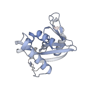 4350_6g51_H_v1-4
Cryo-EM structure of a late human pre-40S ribosomal subunit - State D