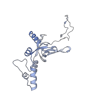 4350_6g51_I_v1-4
Cryo-EM structure of a late human pre-40S ribosomal subunit - State D