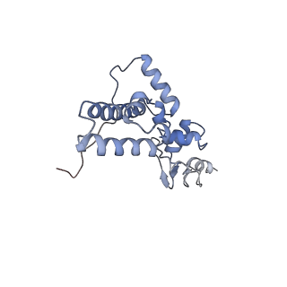 4350_6g51_J_v1-4
Cryo-EM structure of a late human pre-40S ribosomal subunit - State D
