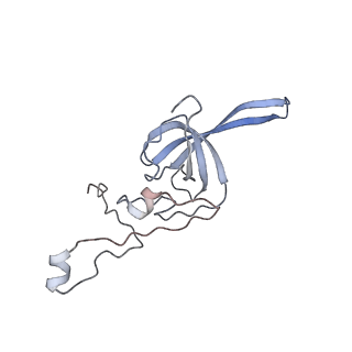 4350_6g51_L_v1-4
Cryo-EM structure of a late human pre-40S ribosomal subunit - State D