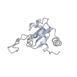 4350_6g51_M_v1-4
Cryo-EM structure of a late human pre-40S ribosomal subunit - State D