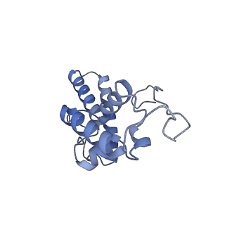 4350_6g51_N_v1-4
Cryo-EM structure of a late human pre-40S ribosomal subunit - State D