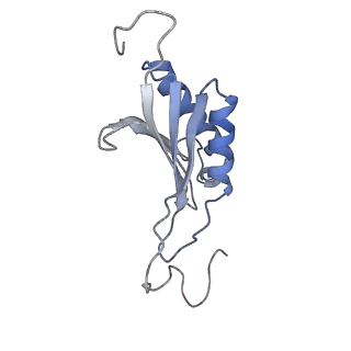4350_6g51_O_v1-4
Cryo-EM structure of a late human pre-40S ribosomal subunit - State D