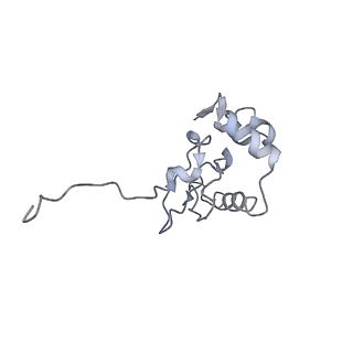 4350_6g51_P_v1-4
Cryo-EM structure of a late human pre-40S ribosomal subunit - State D