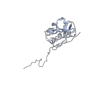 4350_6g51_Q_v1-4
Cryo-EM structure of a late human pre-40S ribosomal subunit - State D