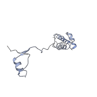 4350_6g51_R_v1-4
Cryo-EM structure of a late human pre-40S ribosomal subunit - State D