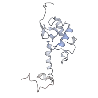 4350_6g51_S_v1-4
Cryo-EM structure of a late human pre-40S ribosomal subunit - State D