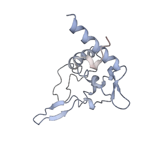 4350_6g51_T_v1-4
Cryo-EM structure of a late human pre-40S ribosomal subunit - State D